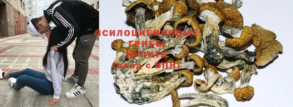 spice Арсеньев
