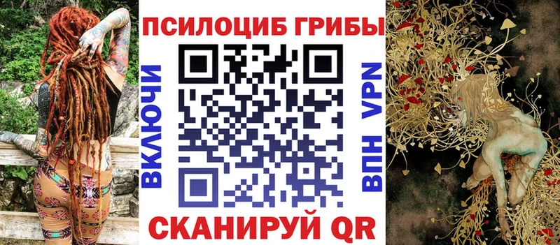 Псилоцибиновые грибы Psilocybe  Онега 